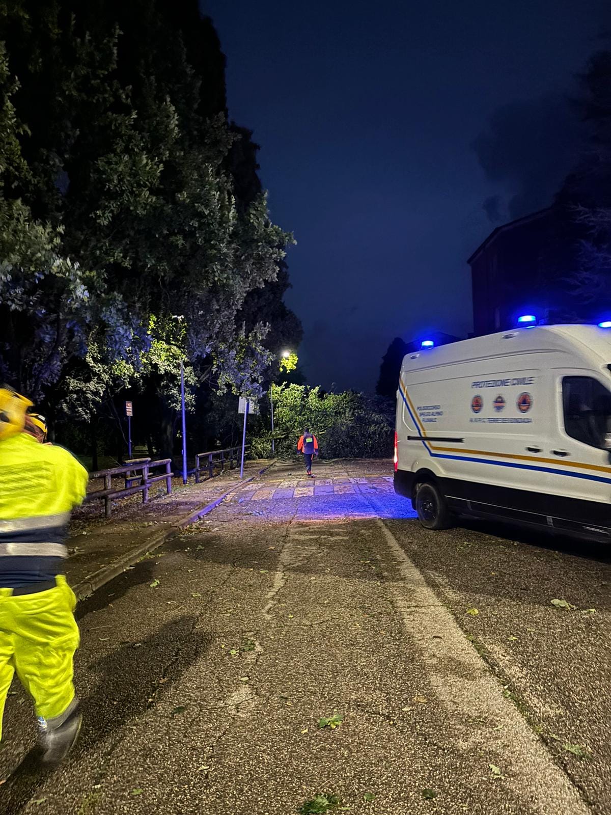 Interventi per taglio piante su sede stradale